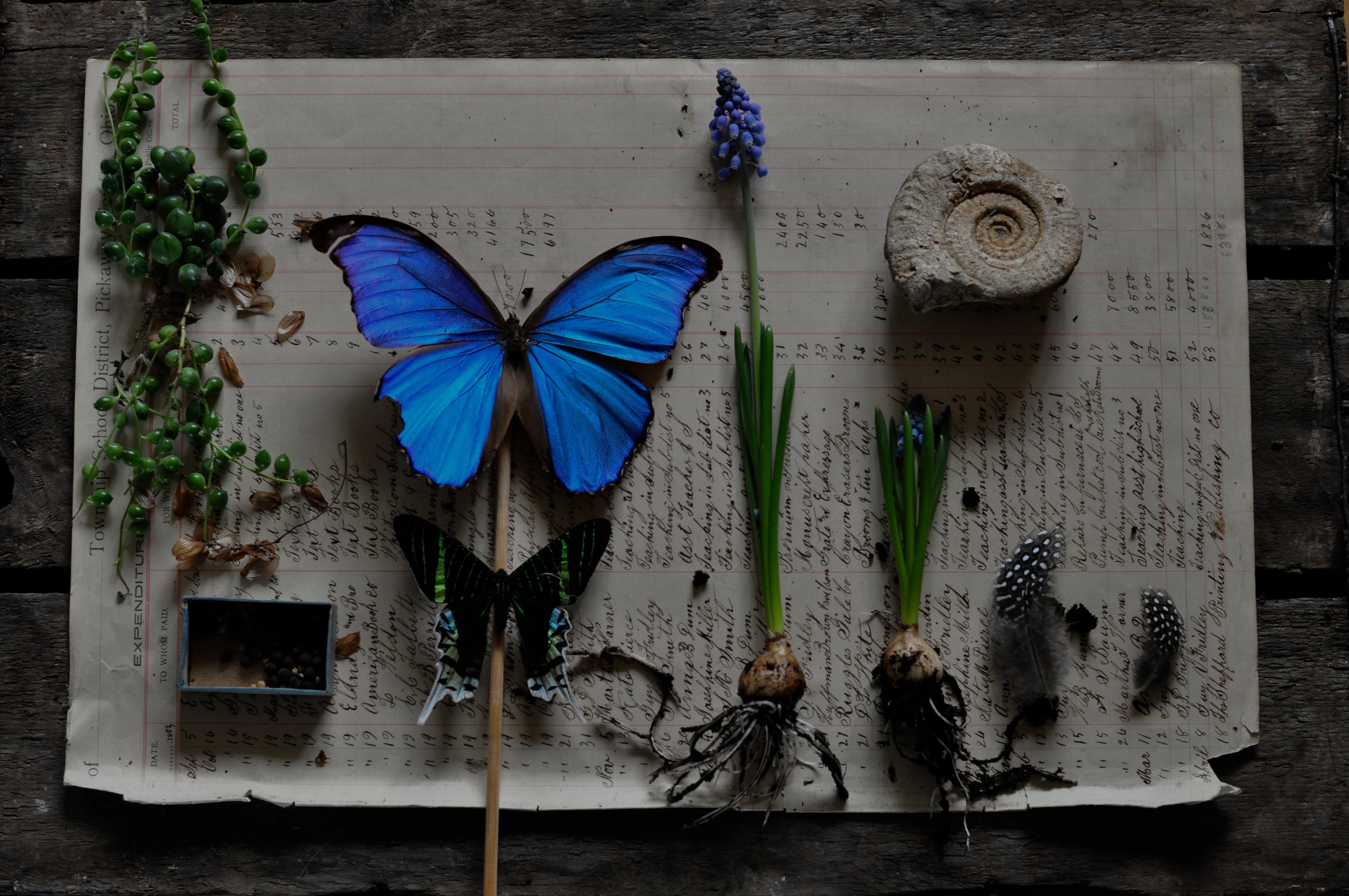Dark Tones with pops of colour homebarn