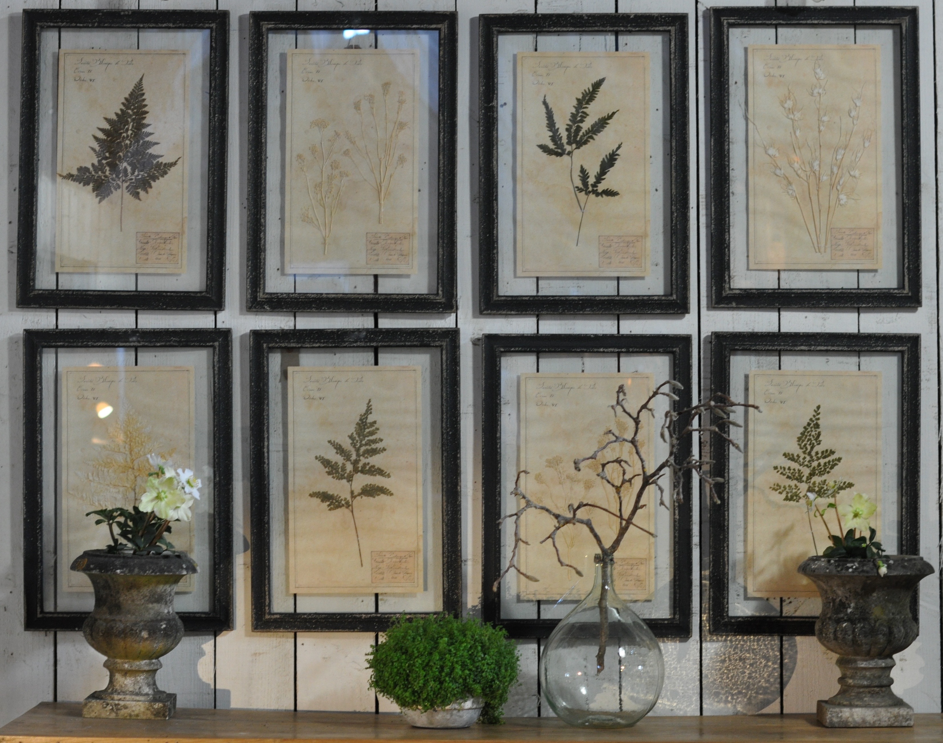 Homebarn Framed Ferns