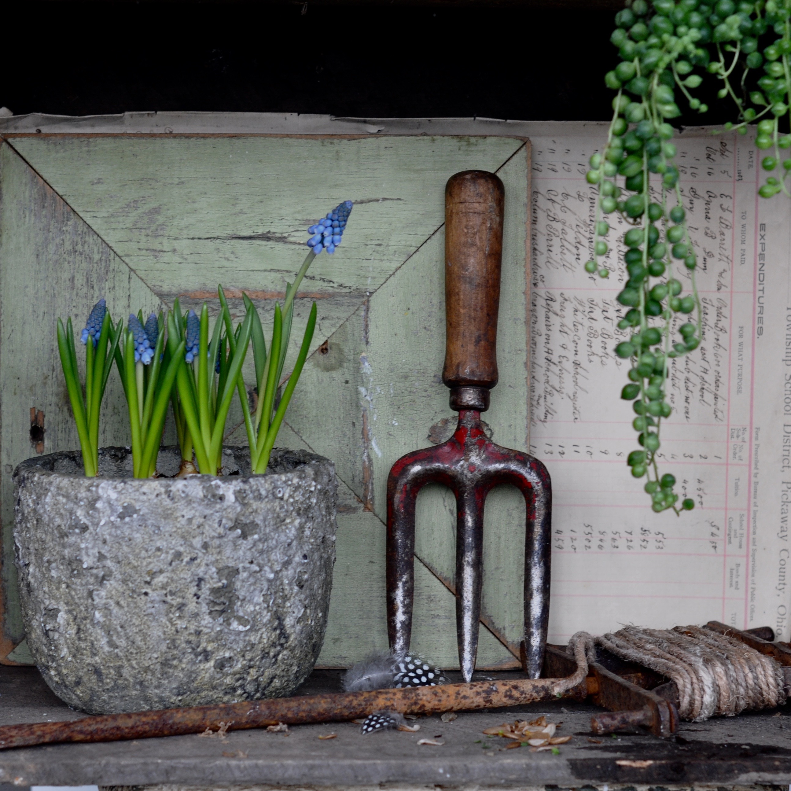 Homebarn plant pots and vintage garden styling
