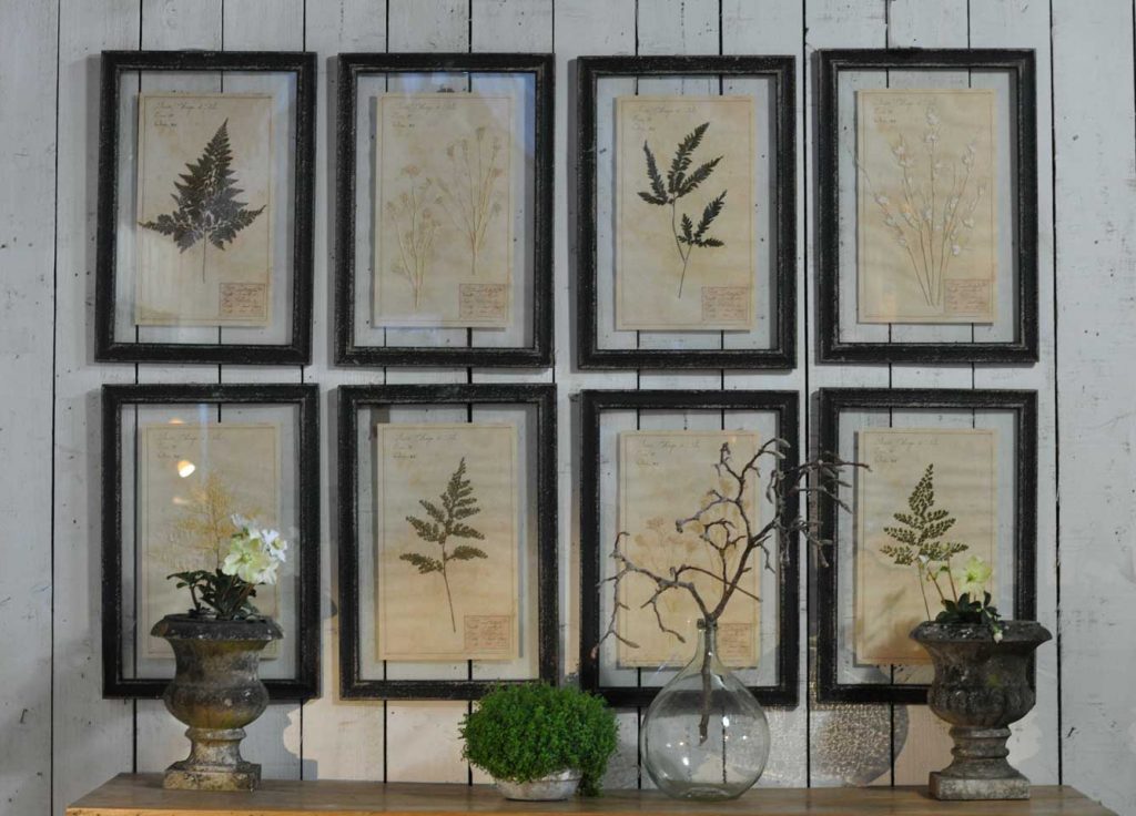 Framed Pressed Botanical Artwork