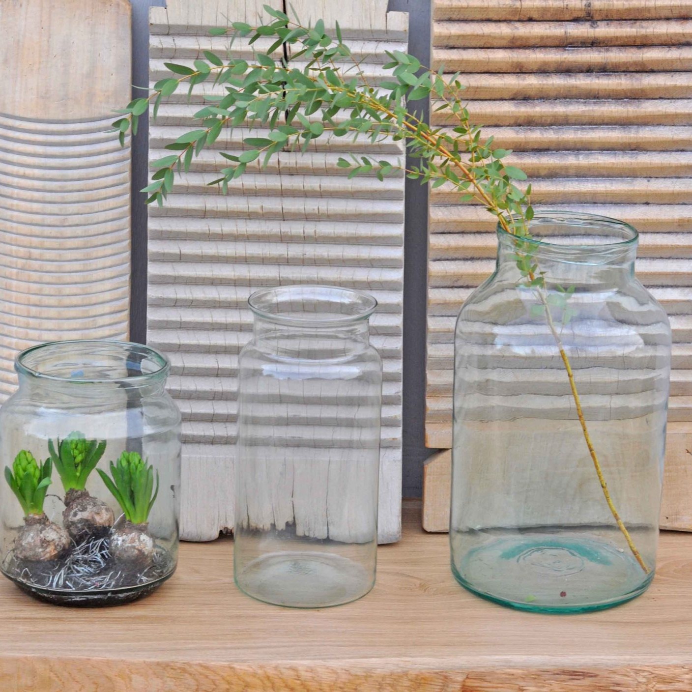 Glass Bell Jars In A Choice of Three Individual Sizes