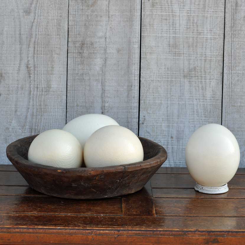 Decorative Blown Ostrich Egg