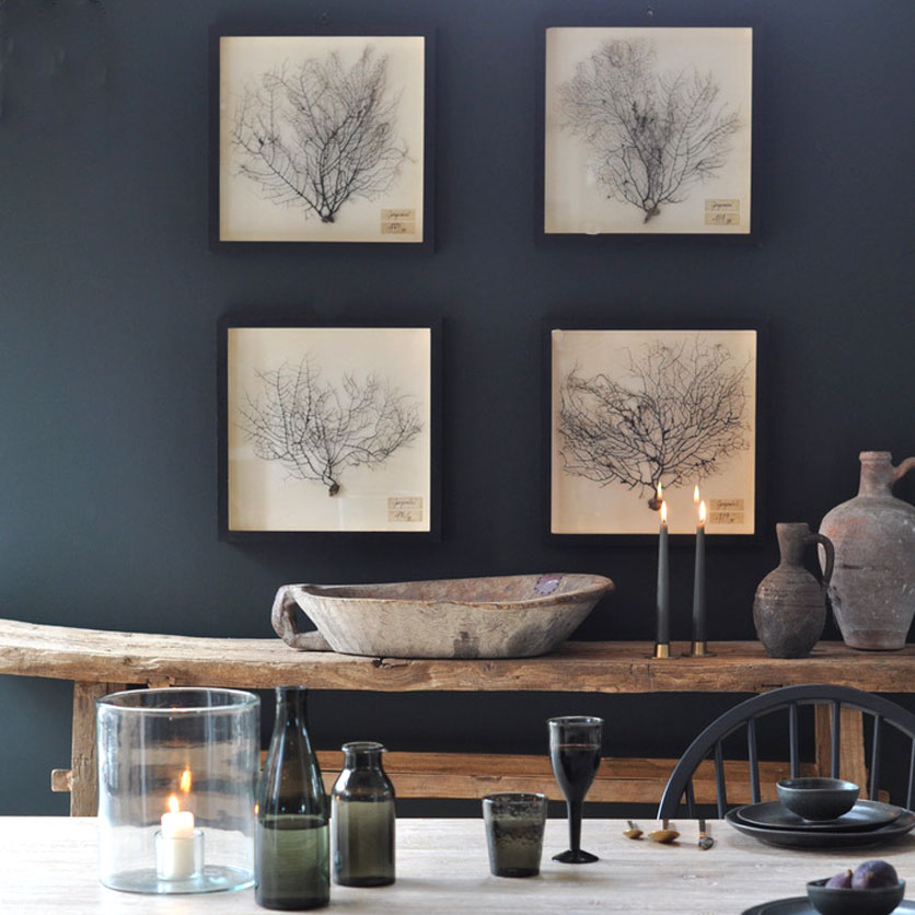 Framed Vintage Sea Fan