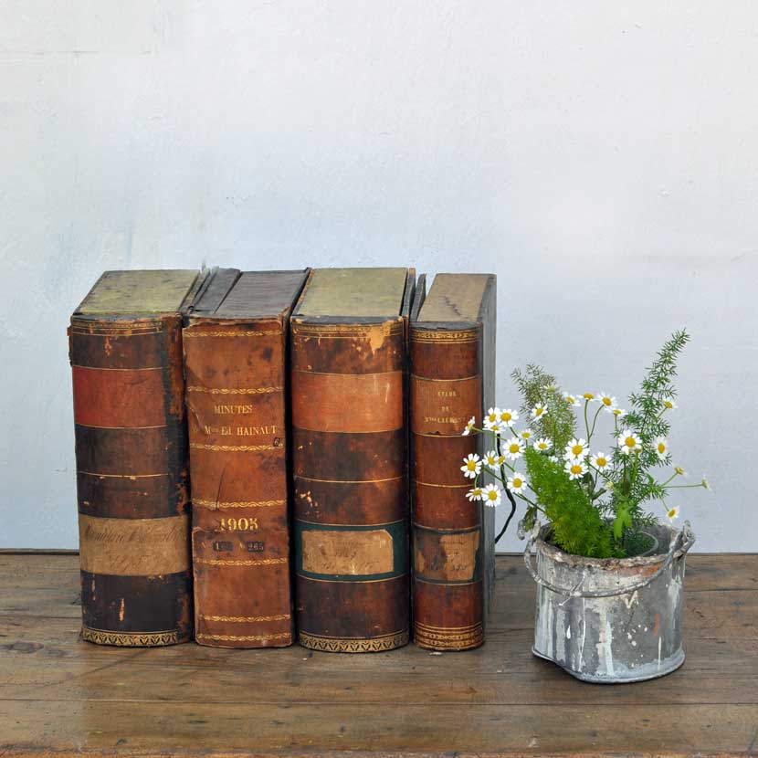 Antique Faux Book Box Files