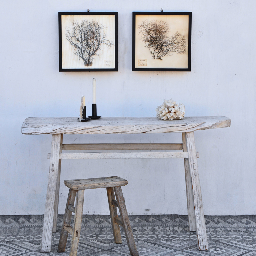 Framed vintage sea fan artwork hangs above a rustic wooden bench and stool from Home Barn