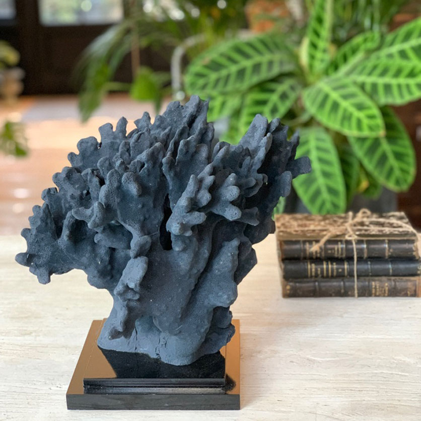 HANDMADE ARTISAN BLACK CORAL MOULDING