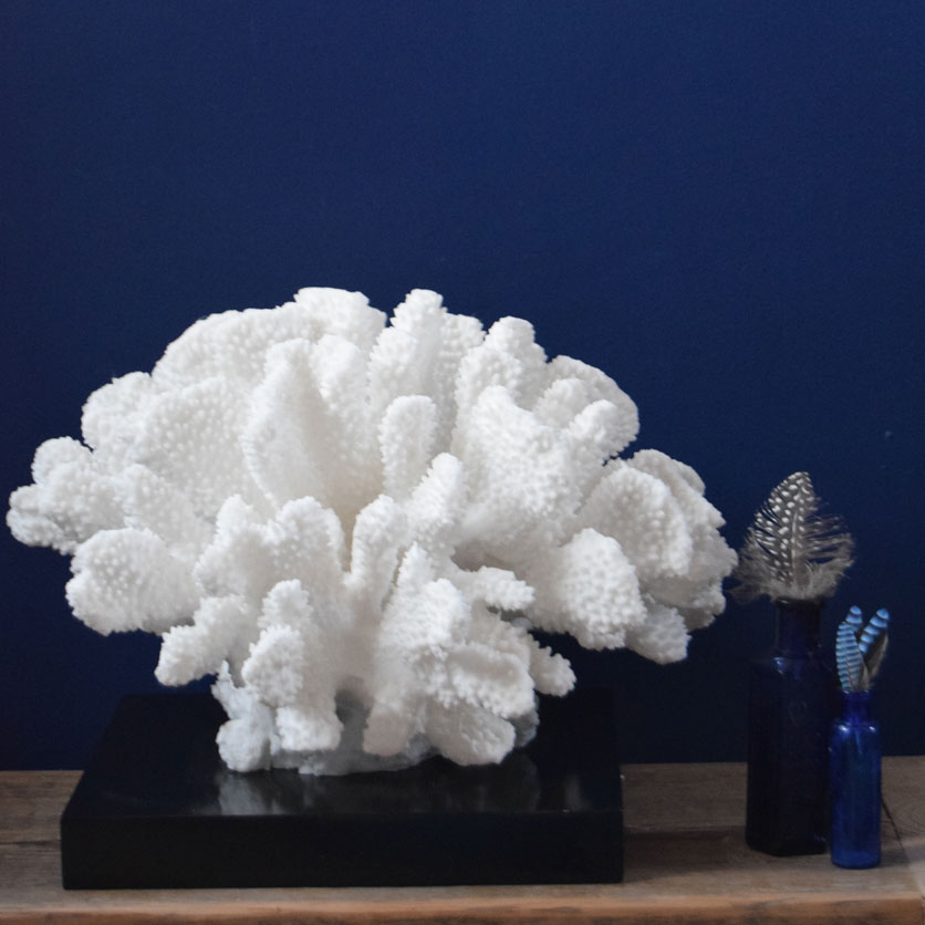 HANDMADE ARTISAN WHITE CORAL MOULDINGS
