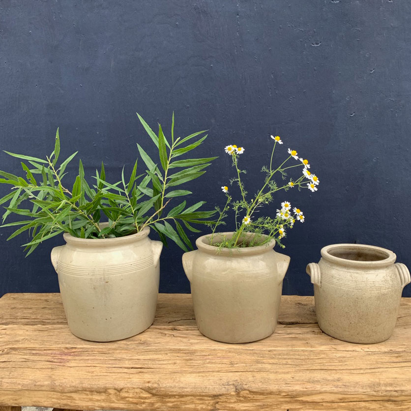 vintage French confit preserve pots | lug handle
