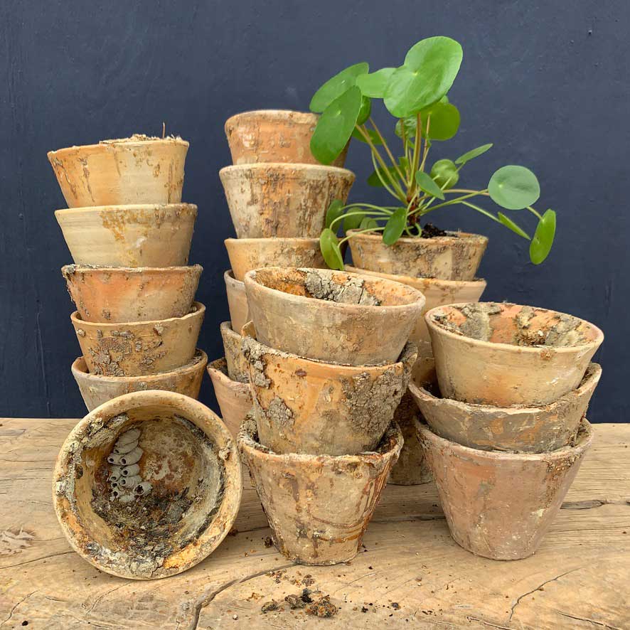 Vintage Terracotta Resin Collection Pots