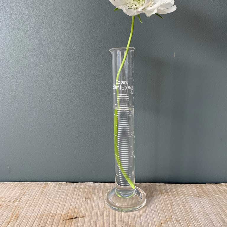 Test tube vase