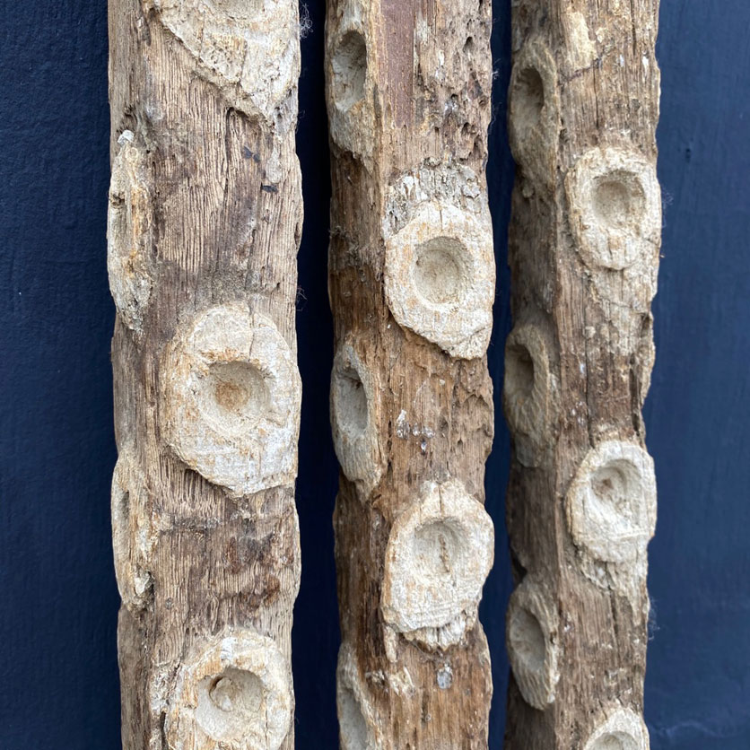 set of oyster sticks