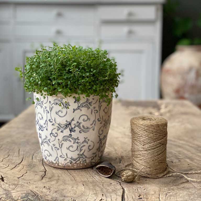 Glazed decorative flower pot | indigo print