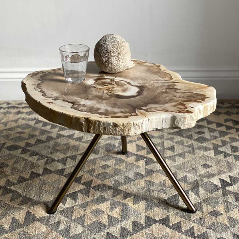 Petrified wood side table