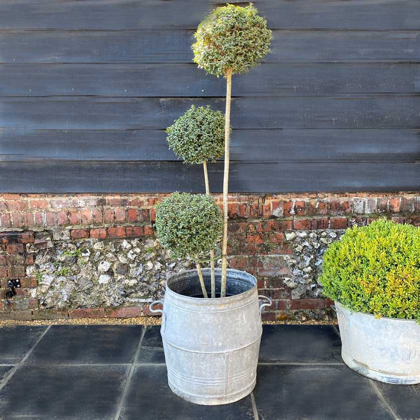 Vintage Galvanised Metal Planter | Barrel
