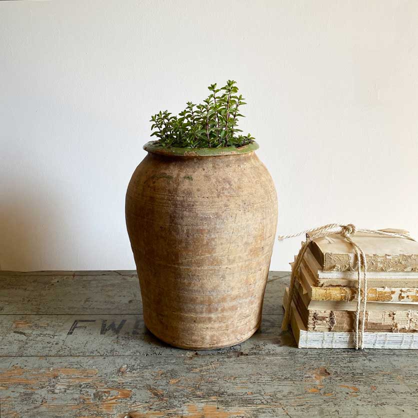 Spanish Antique Confit Pot Green | Julieta