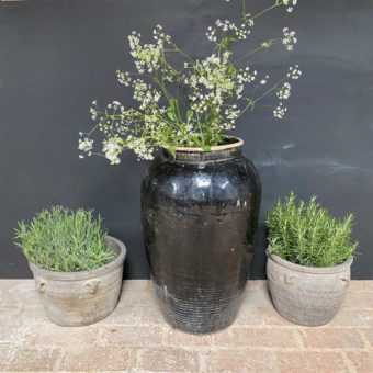 Antique Chinese Preserve Pot | Extra Large | Eros