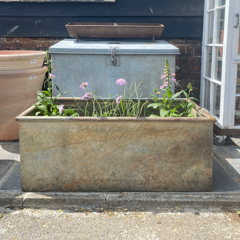 Vintage water trough planter 125cm