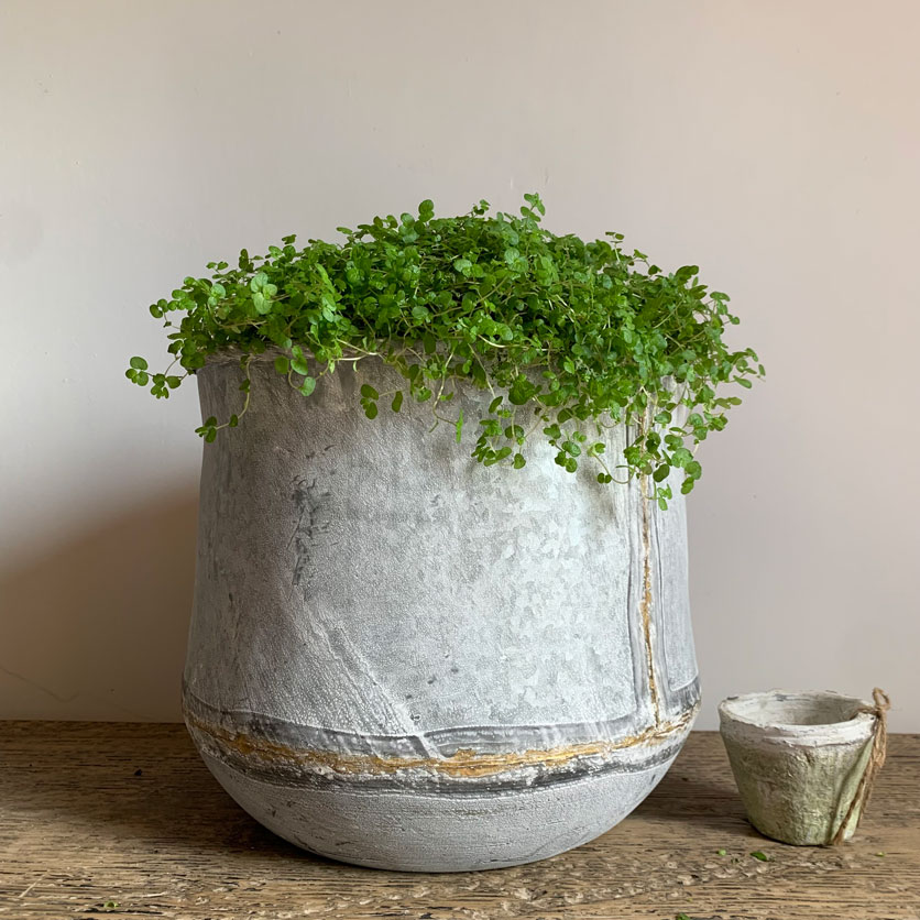 Large Tin Planter | Gold Stripe