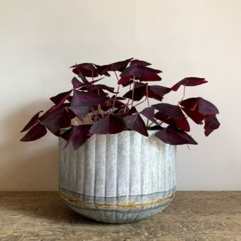 Large Ribbed Distressed Tin Plant Pot