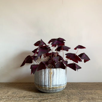 Small Ribbed Distressed Tin Plant Pot
