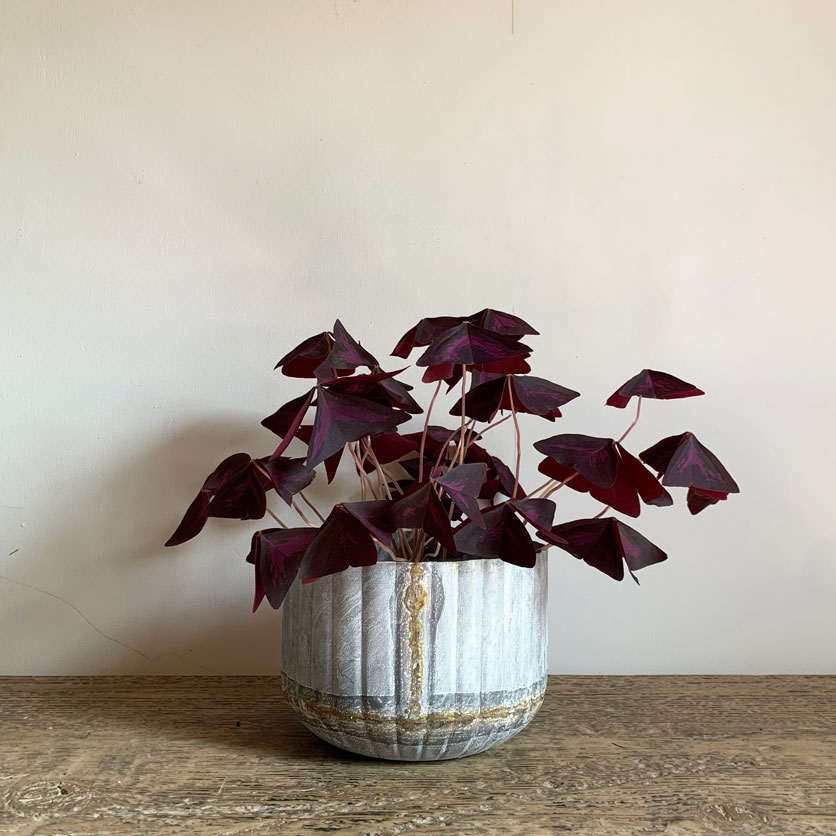 Small Ribbed Distressed Tin Plant Pot