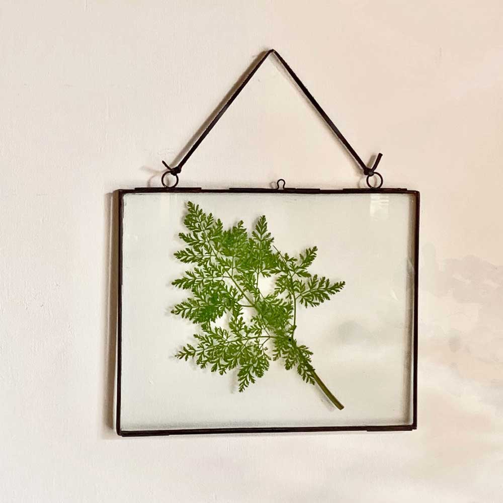 Iron and Glass Frame Black 25 x 20cm