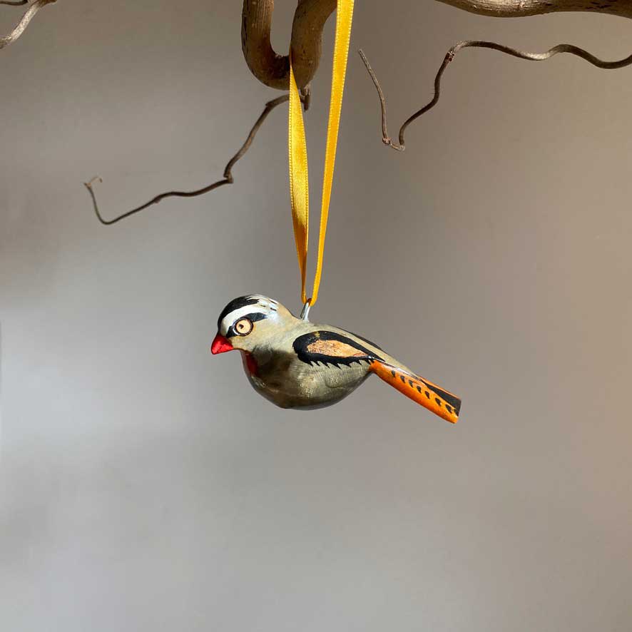 WoodenBirdRobin