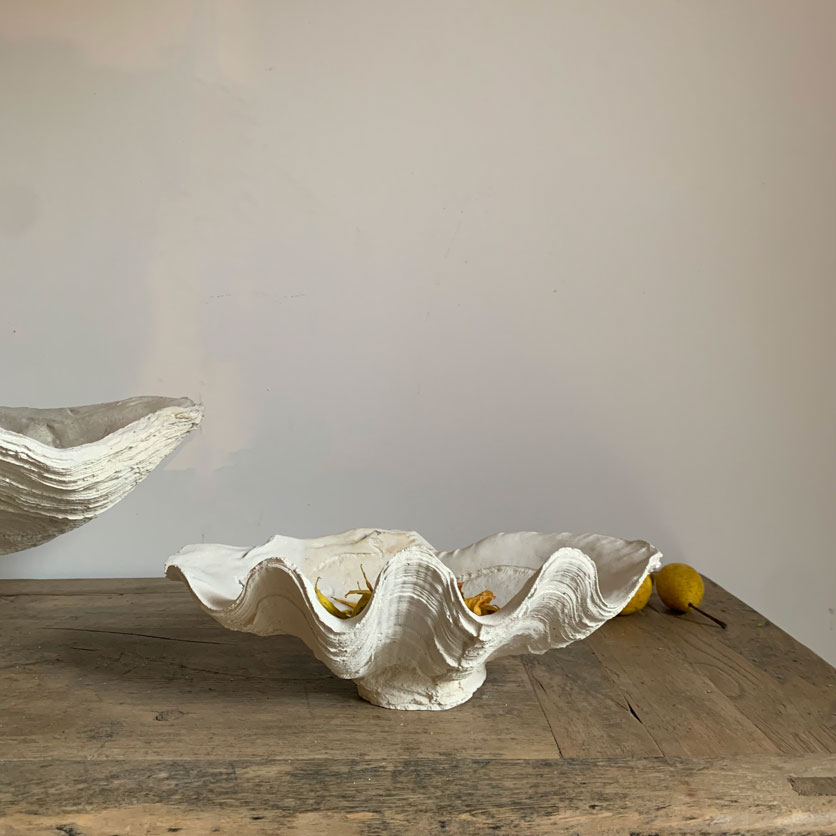 Plaster Clam Shell Vase | Extra Small