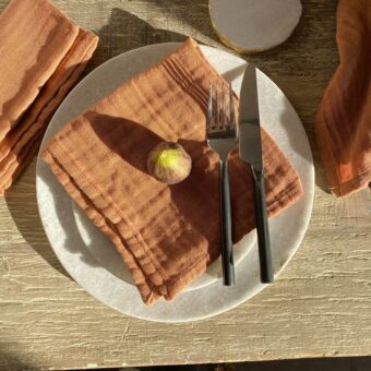 Cotton Napkins Set Of Four | Blush Rust