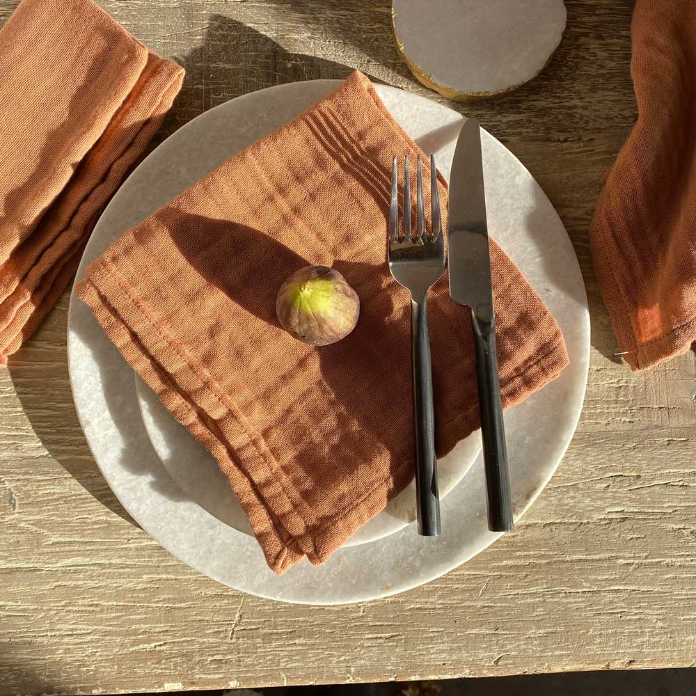 Cotton Napkins Set Of Four | Blush Rust