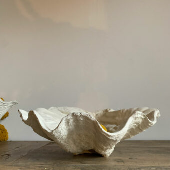 Plaster Conch Shell Vase | Small