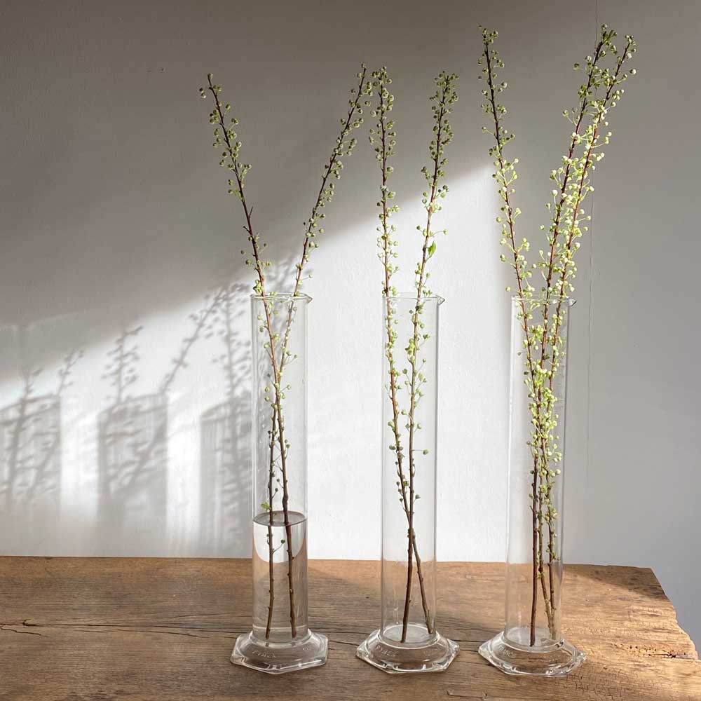 Vintage Chemistry Vase | Extra Large