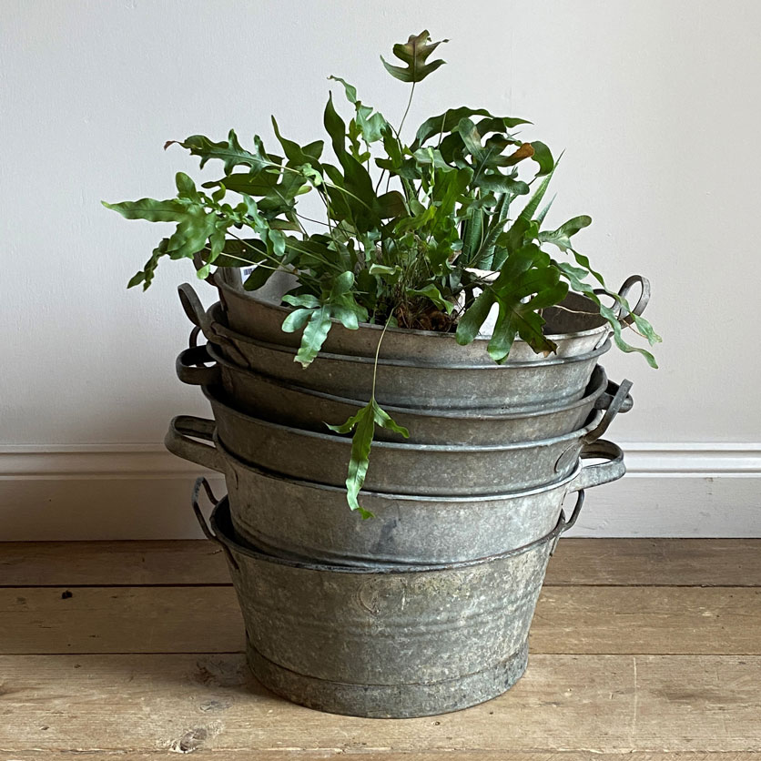 Round vintage galvanised planter