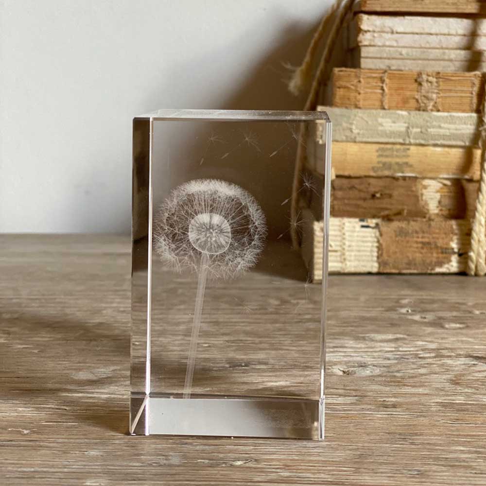 Botanical dandelion paperweight cube