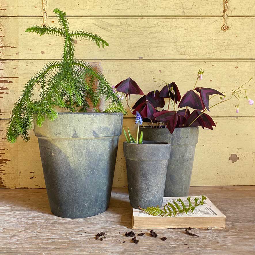 Terracotta pot aged black | Small