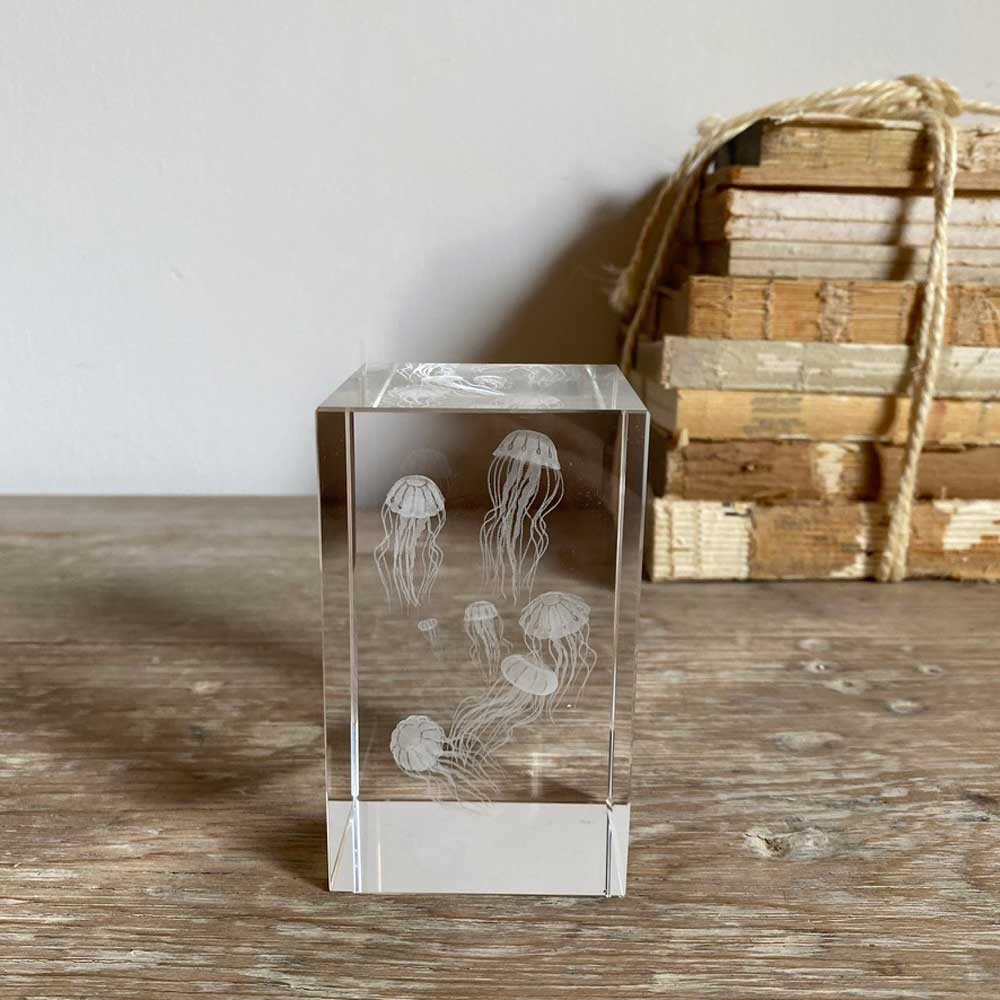 Glass paperweight cube with jellyfish