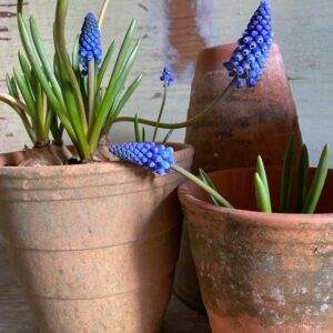 Homebarn Garden Furniture and Vintage Accessories