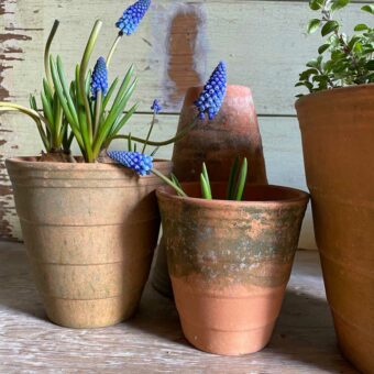 Ridged terracotta garden pot | Small