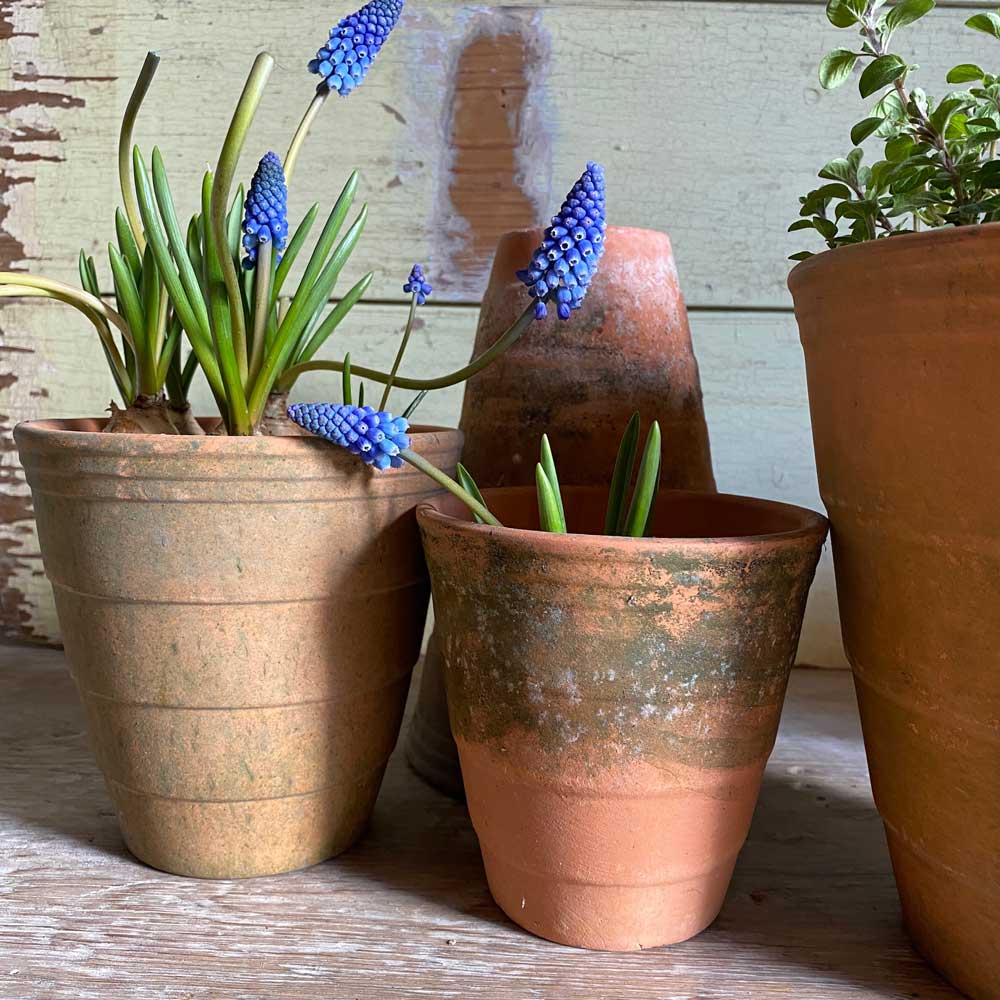 Ridged terracotta garden pot | Small