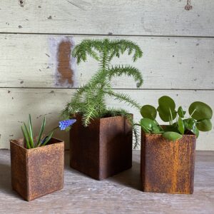 Corten Steel Plant Pots