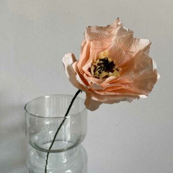 Paper Flower Poppy Nude