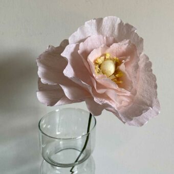 Paper Flower Poppy Rose