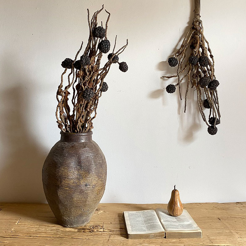Natural Dried Coco Seed Pods