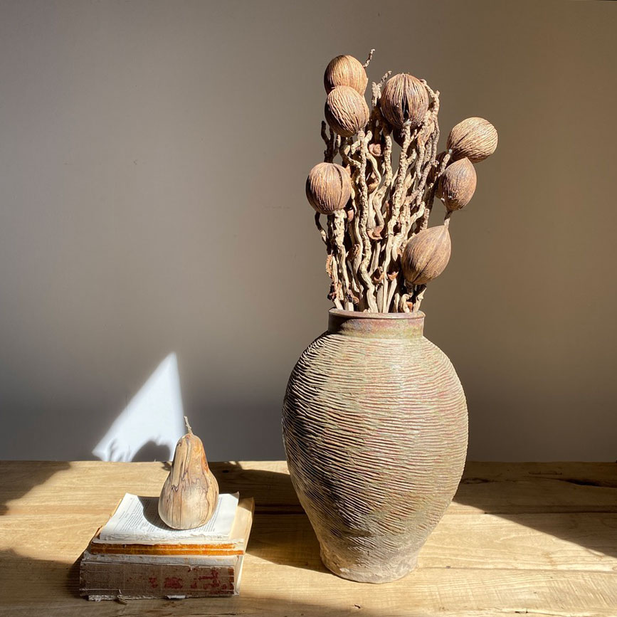 Dried Mintolla Ball Stems