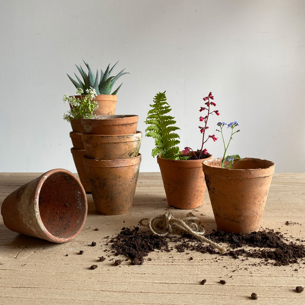 Vintage Flower Pot Small | Top Band