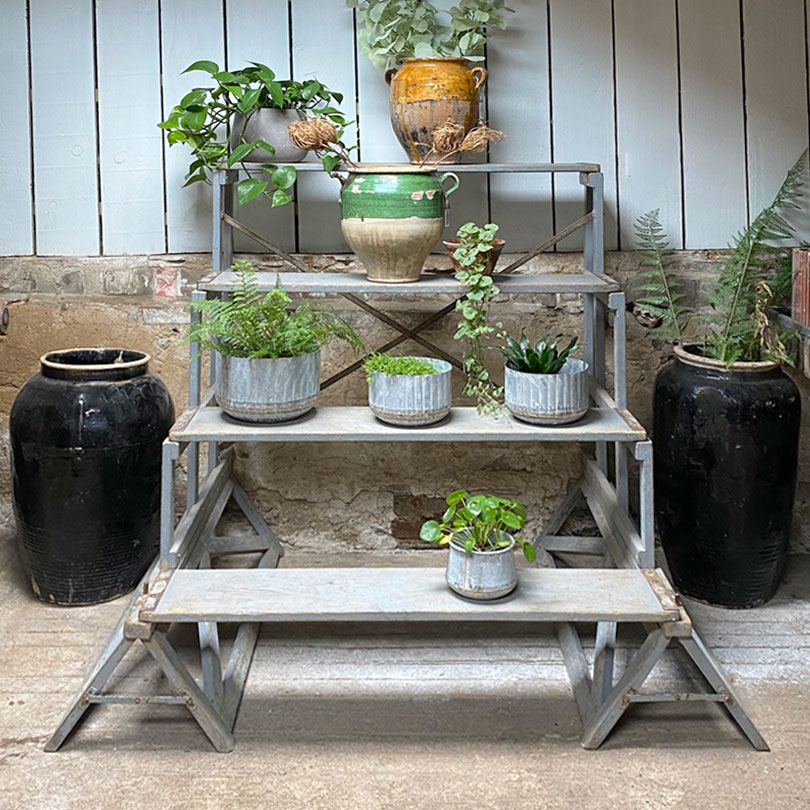 Vintage Plant Theatre | Florists Display Stand
