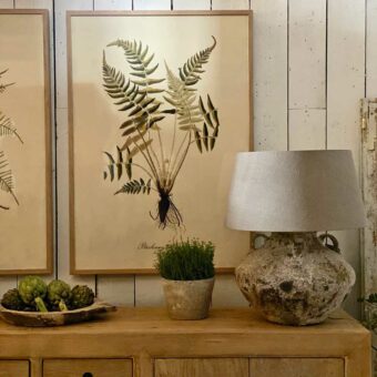 Extra Large Botanical Artwork | Blechnum Accidentale