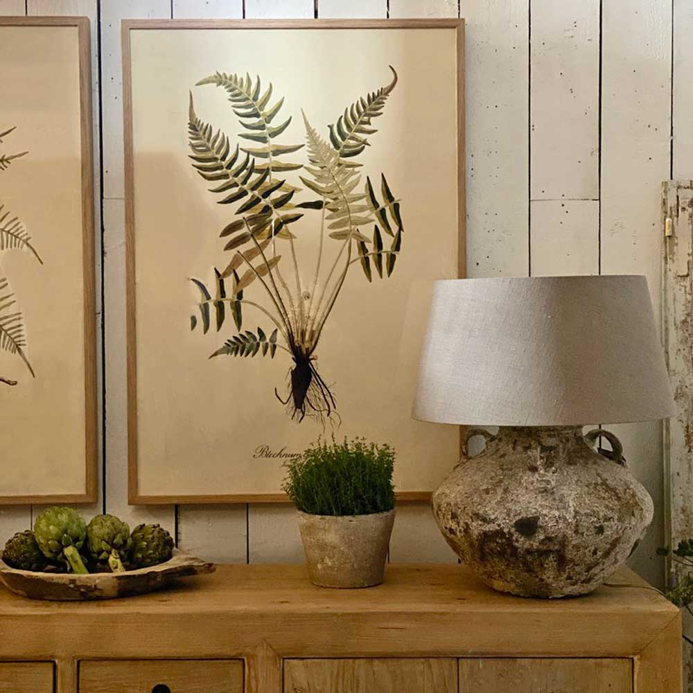 Extra Large Botanical Artwork | Blechnum Accidentale