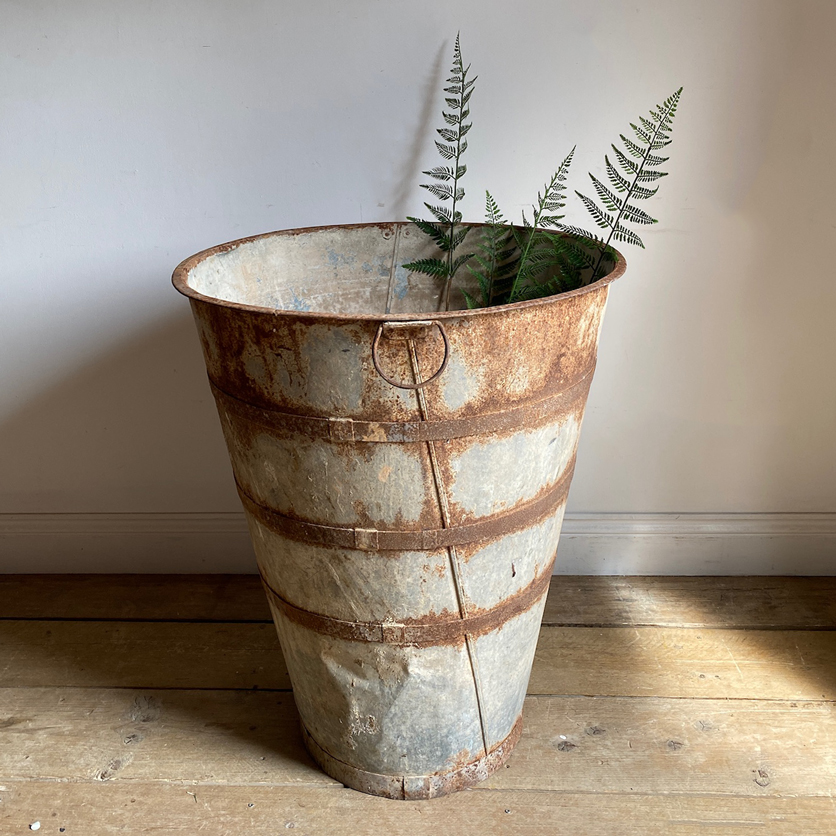 Large Vintage Olive Tree Garden Planter | Single planter