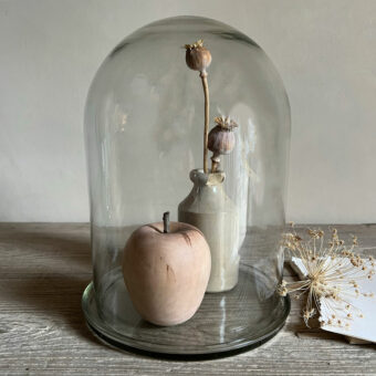 Large Glass Cloche